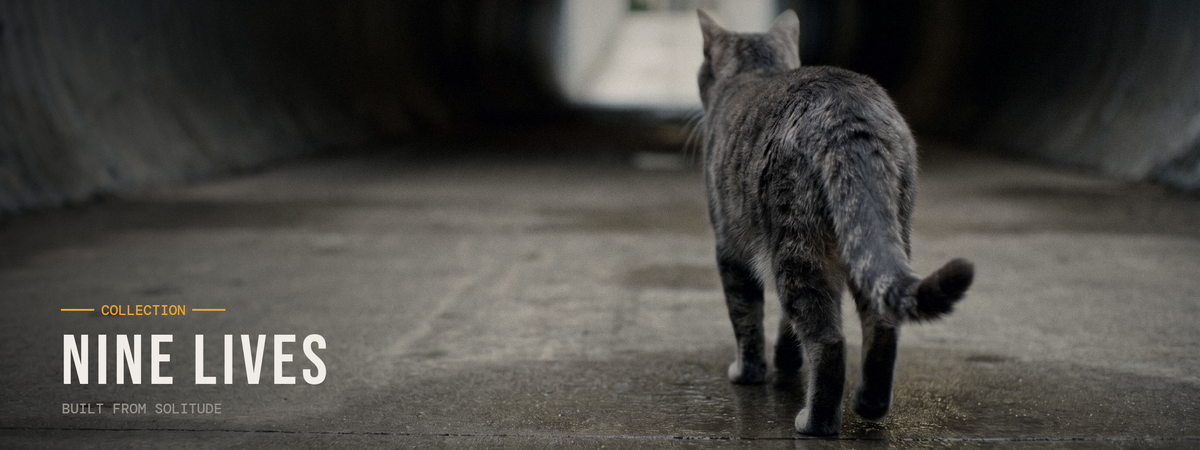 Nine Lives