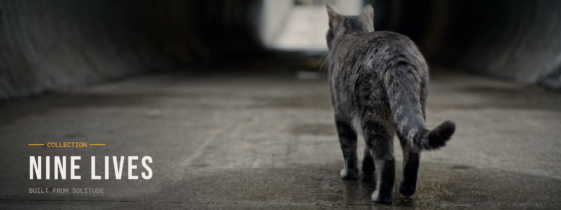 Ember, the grey tabby in the amber beanie