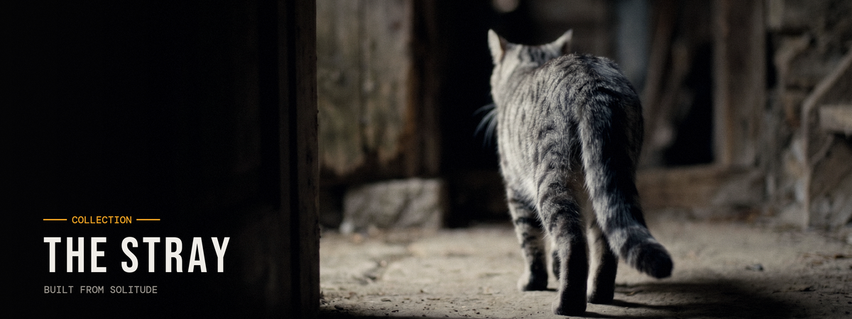 The Stray