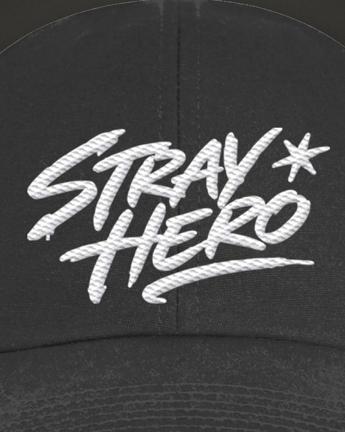 Signature 6-Panel Cap, print detail