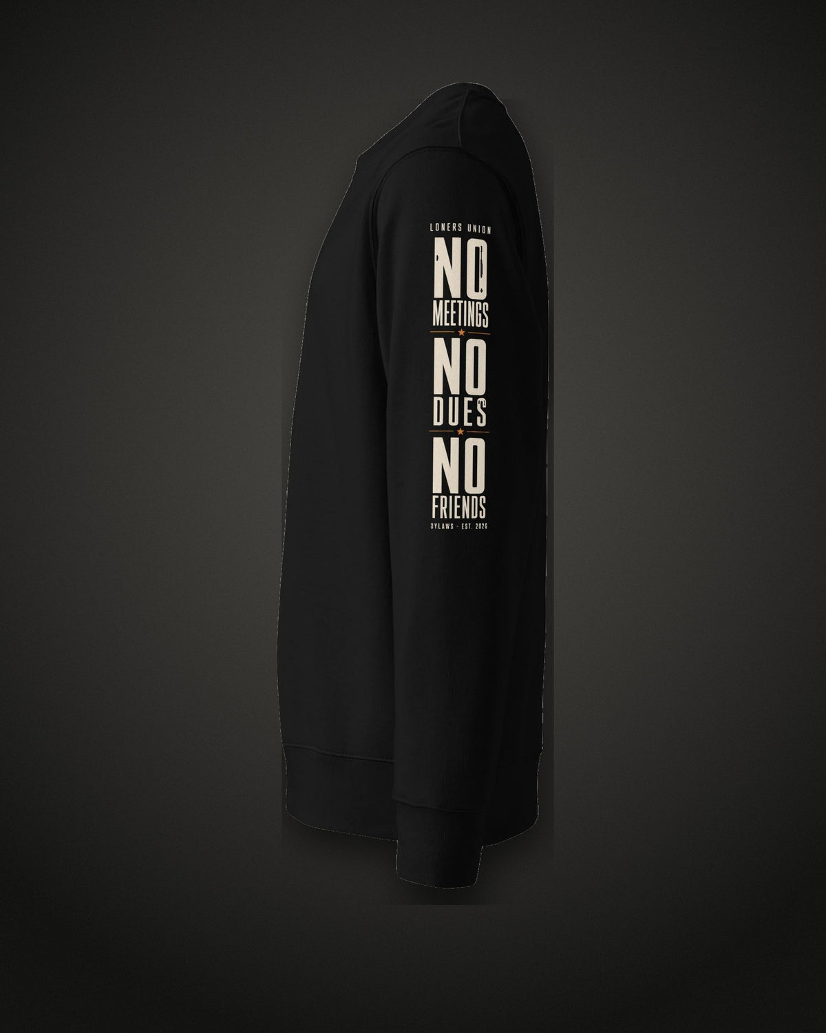 No Meetings No Dues No Friends Sweatshirt