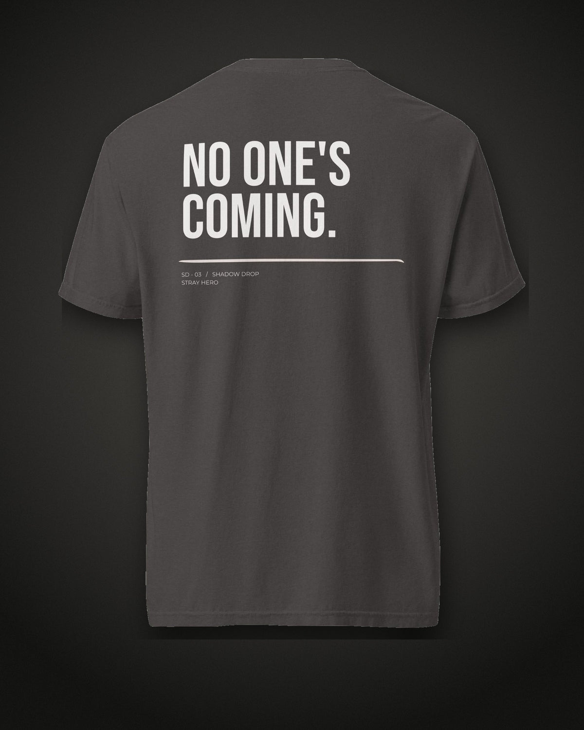 No One's Coming Tee Typography, back print, graphite