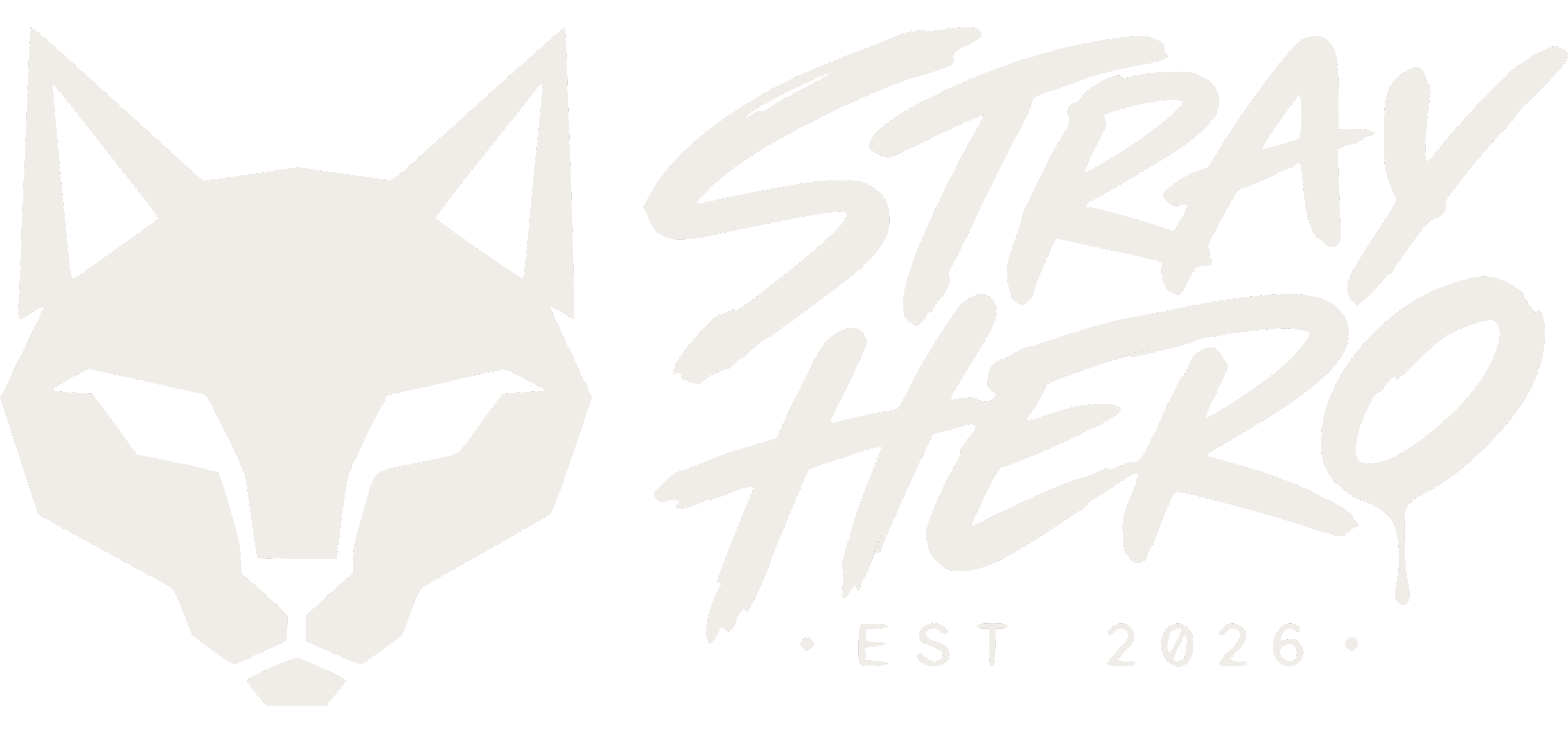 Stray Hero